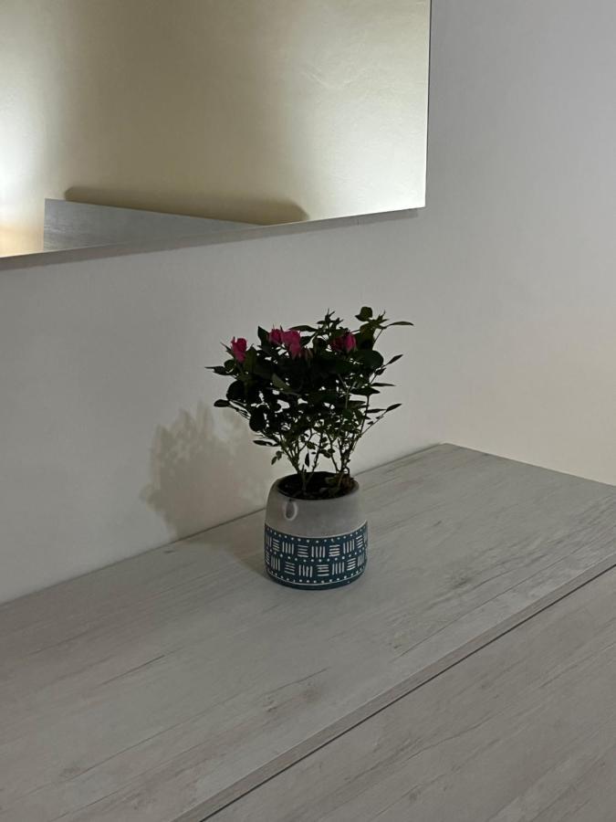 Spyda Apartment ปาแลร์โม ภายนอก รูปภาพ